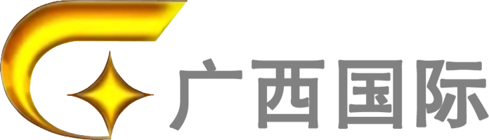 广西国际 logo
